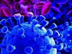 Corona Virus and it’s Prevention Coronavirus | Arujogi.club